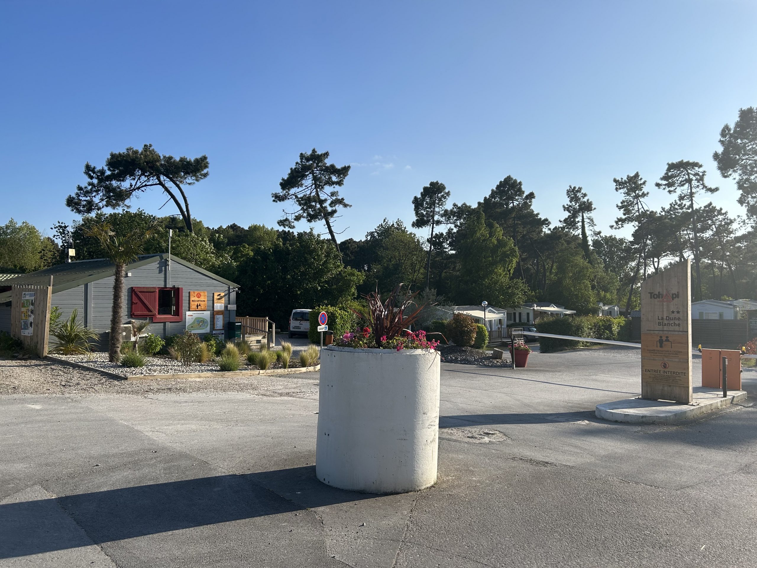 image_50433793