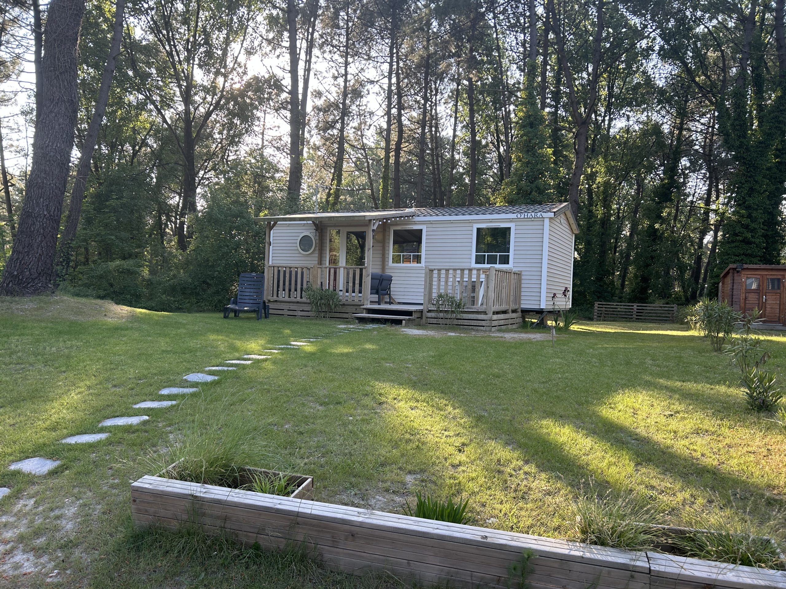 image_50738433